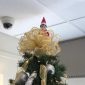 Chester at the Top of the Tree